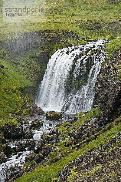 Wasserfall  F570  Halbinsel Snäfellsnes  Island  Europa
