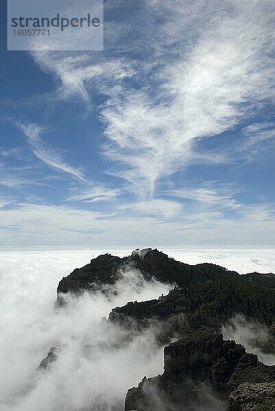 Blick vom Pico de las Nieves  Gran Canaria  Kanarische Inseln  Spanien  Europa