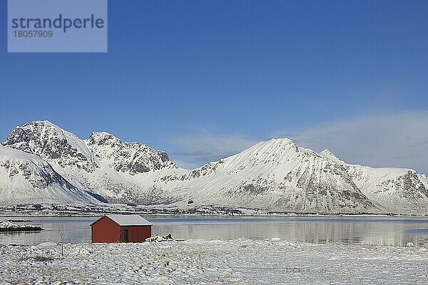 Rote isolierte Holzhütte entlang der Küste im Schnee im Winter  Lofoten  Nordland  Norwegen  Skandinavien  Europa