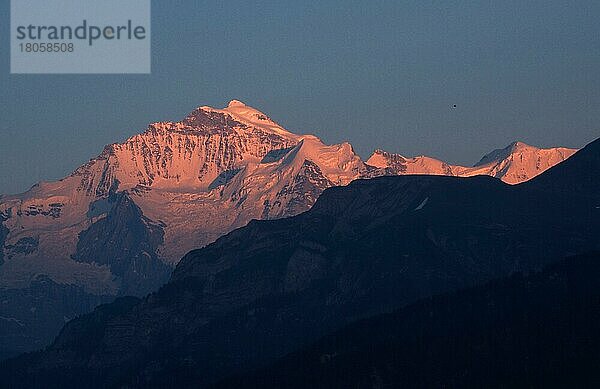 Jungfrau im Abendlicht (Abenddäerung) (dusk) (twilight) (Europa) (Landschaften) (landscapes) (Querforat) (horizontal) (Alpenglühen) (alpenglow)  4158 m  Blick von Beatenberg  Schweiz  Europa