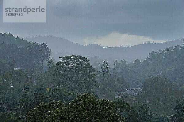 Regen  Ella  Sri Lanka  Asien