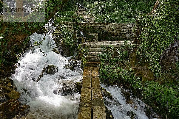 Quelle  Kaltwasser-Naturdenkmal  Uji i Ftothe  Albanien  Europa