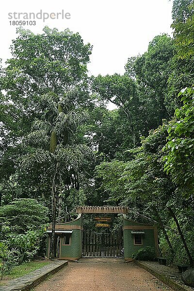 Eingang  Royal Forest Park Udawattakele  Kandy  Sri Lanka  Asien