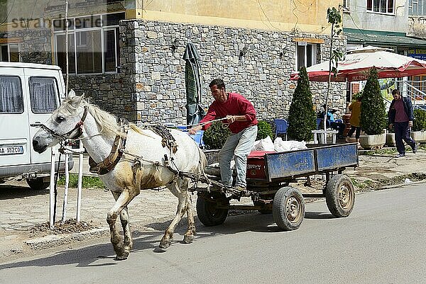 Pferd mit Kutsche und Waren  Peshkopi  Albanien  Europa