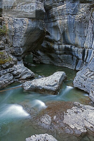 Bach im Maligne Canyon  Jasper National Park  Alberta  Kanadische Rockies  Kanada  Nordamerika