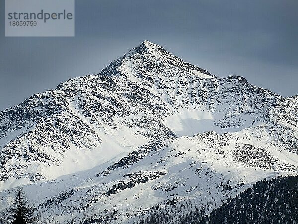 Pizzo Tresero  Santa Caterina Valfurva  Sondrio  Lombardei  Italien  Europa