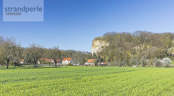 Boselspitze mit Sörnewitz  Coswig  Sachsen  Deutschland  Europa