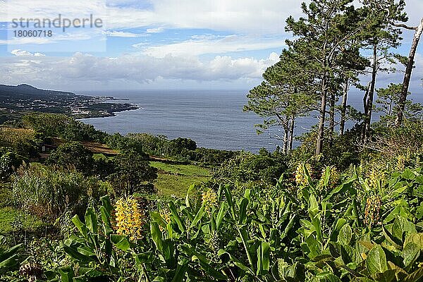 Blick auf Sao Roque  Pico  Azoren  Portugal  Europa