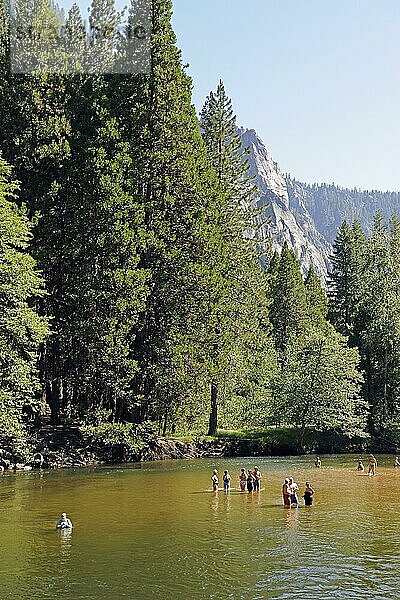 Touristen im Merced River  Yosemite Nationalpark  Kalifornien  USA  Merced-Fluss  Nordamerika
