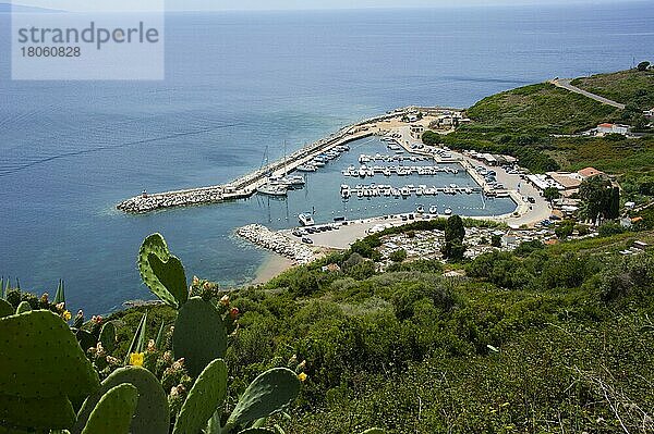 Hafen  Cargese  Korsika  Frankreich  Europa