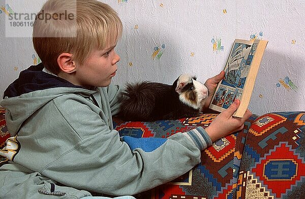Junge mit Meerschweinchen  liest Comic