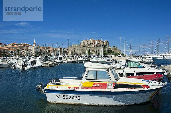 Altstadt  Zitadelle  Hafen  Calvi  Korsika  Frankreich  Europa