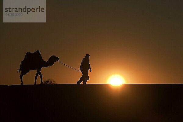 Marokko  Wüste Erg Chebbi  Dünen  Sonnenuntergang  Kameltreiber  Afrika