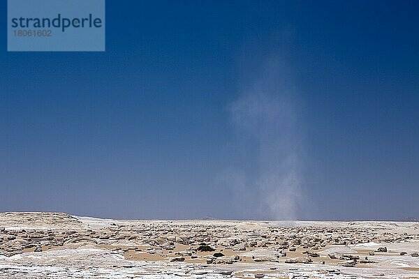 Nationalpark Weiße Wüste  Libysche Wüste  Ägypten  Afrika