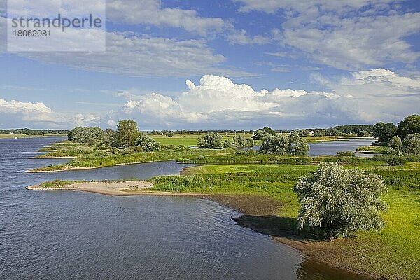 UNESCO-Biosphärenreservat Flusslandschaft Elbe im Sommer  Niedersachsen  Deutschland  Europa