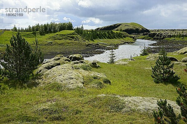 Landschaft  F206  bei Kirkjubaerjarklaustur  Island  Europa