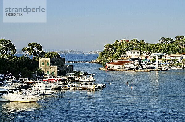 Ischia Porto  Hafen  Insel Ischia  Golf von Neapel  Kampanien  Italien  Europa