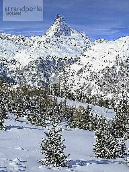 Matterhorn  Sunnegga Alm  Wallis  Schweiz  Europa