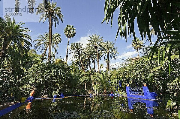 Marokko  Botanischer Garten Jardin Majorelle in Marrakesch  Afrika