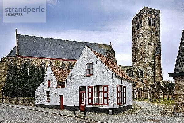 Altes weißes Haus und die Liebfrauenkirche  Onze-Lieve-Vrouwekerk in der kleinen Stadt Damme  Westflandern  Belgien  Europa