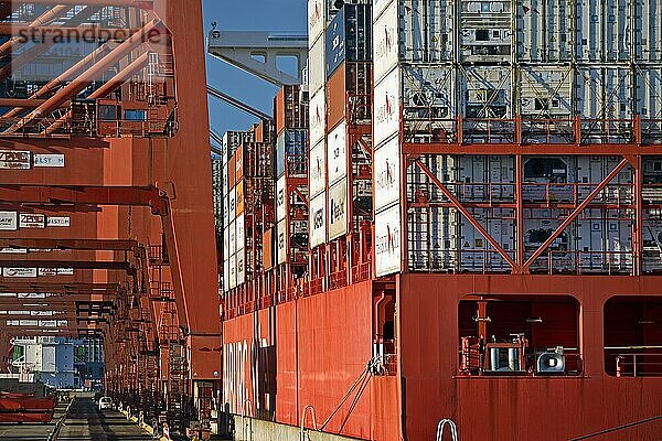 Containerschiff der Cap-San-Klasse am Containerterminal Eurogate  Hafen  Hamburg  Deutschland  Europa