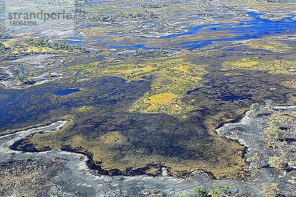 Überschwemmungsgebiet  Okavangodelta  Botswana  Afrika