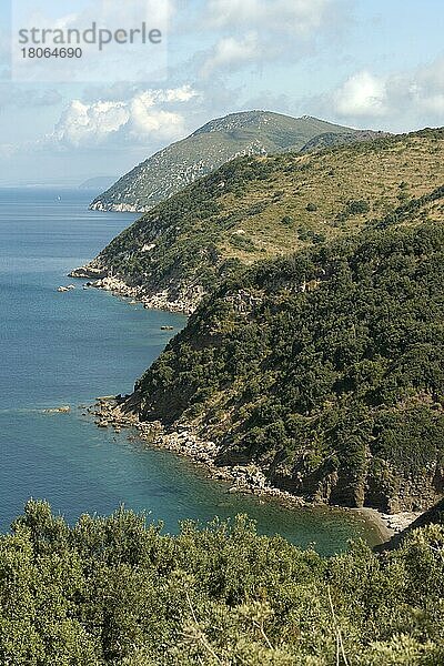 Europa  Toskana  Toscana  Insel Elba  Küste  Italien  Europa