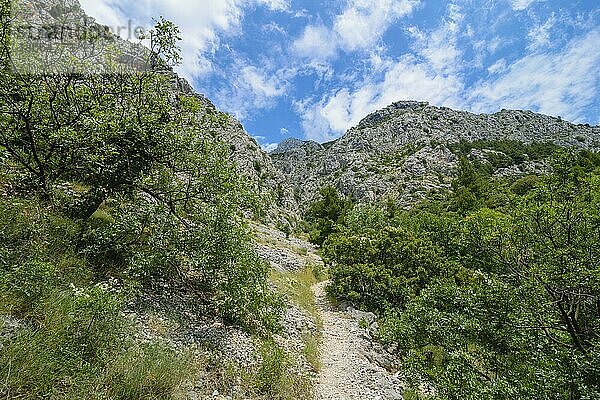 Biokovo Nationalpark  Dalmatien  Kroatien  Europa