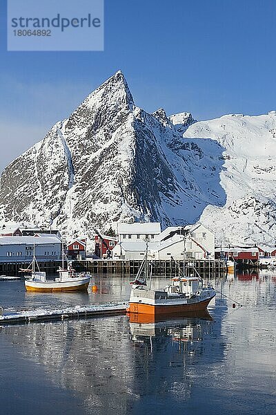 Fischerboote im Hafen Hamnøy  kleines Fischerdorf in der Gemeinde Moskenes  Landkreis Nordland  Lofoten  Norwegen  Europa