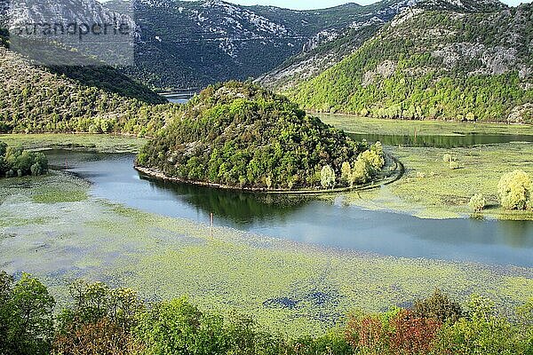 Mäandrierender Fluss  Rijeka Cernojevica  Nationalpark Skutari See  Montenegro  Europa
