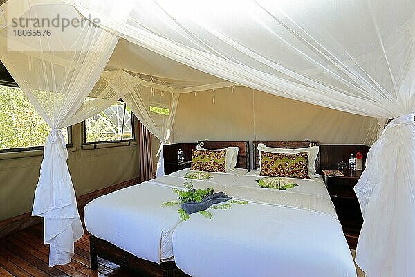 Hotelbett  Safarizelt  Lodge  Hotel  Moskitonetz  Safari  Okavangodelta  Botswana  Afrika