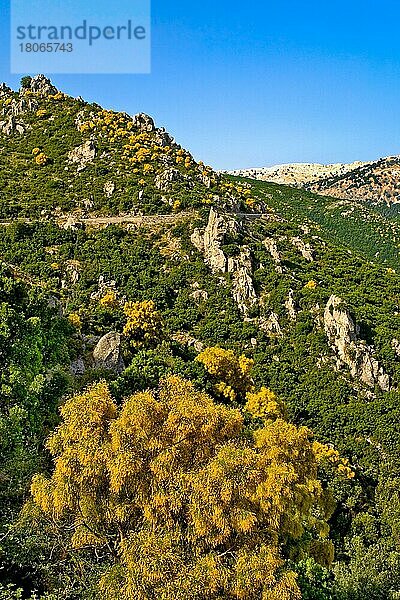 Parco Nazionale del golfo di Orosei  Sardinien  Italien  Europa