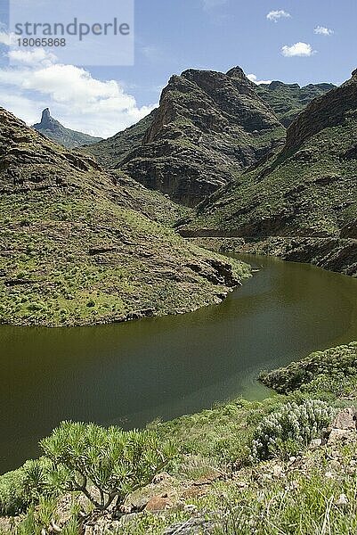 Stausee Presa del Parralillo  Gran Canaria  Kanarische Inseln  Spanien  Bergstraße GC210  Europa