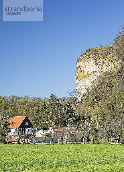 Boselspitze mit Sörnewitz  Coswig  Sachsen  Deutschland  Europa