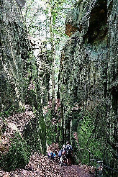 Teufelsschlucht  zwischen Irrel and Ernzen  Naturpark Südeifel  Eifel  Rheinland-Pfalz  Deutschand  Deutsch-Luxemburgischer Naturpark