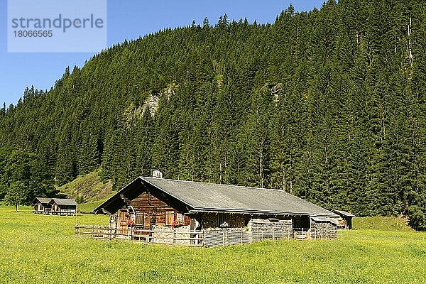Almhütte  Rosenlauital  August 2013  Berner Oberland  Schweiz  Europa