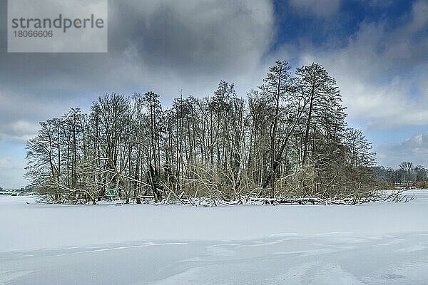 Pionierinsel  Winter  vereiste Havel  Haselhorst  Spandau  Berlin  Deutschland  Europa