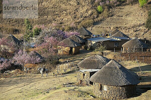 Dorf  Highway A1  Bezirk Butha-Buthe  Lesotho  Afrika
