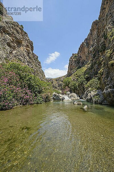 Preveli  Kreta  Griechenland  Europa