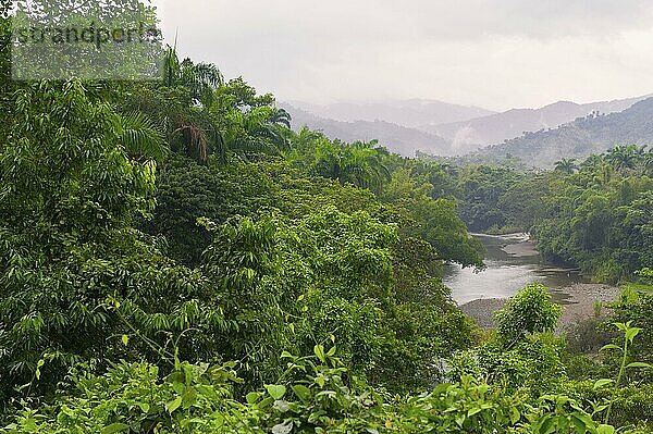 Tropischer Regenwald  Baracoa  Guantanamo Provinz  Kuba  Mittelamerika