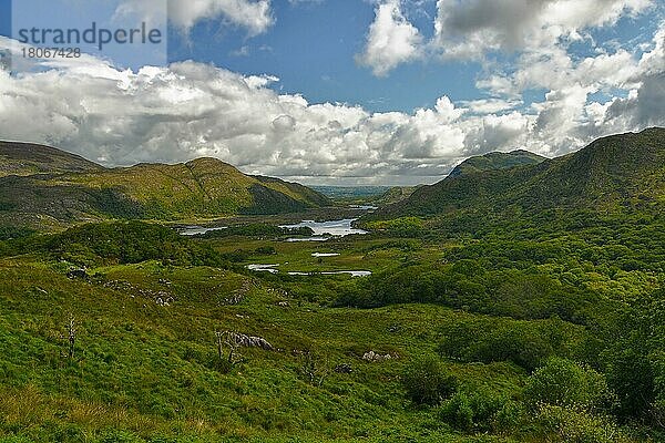 Seen von Killarney  Ladies View  Killarney Nationalpark  Killarney  Ring of Kerry  Grafschaft Kerry  Irland  Europa