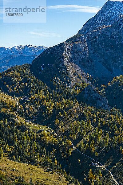 Wanderweg und Almen am Jenner  Schönau  Berchtesgadener Land  Bayern  Deutschland  Europa