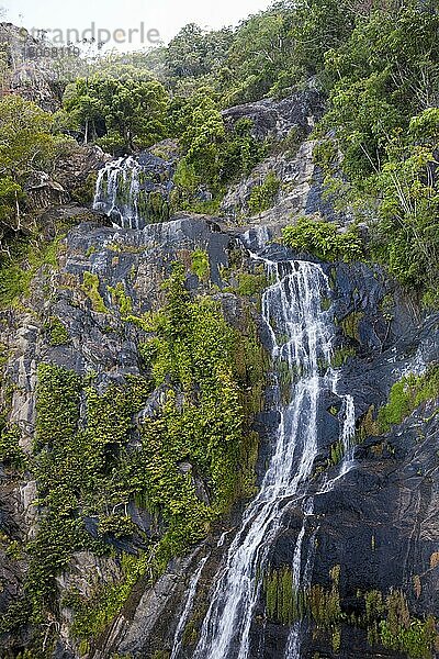 Stoney Creek Falls bei Kuranda  Kuranda  Cairns  Australien  Ozeanien