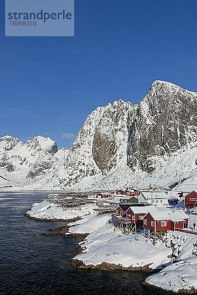 Rorbuer-Hütten und Holzgestelle mit Stockfisch zum Trocknen am Fjord von Hamnøy im Schnee im Winter  Lofoten  Bezirk Nordland  Norwegen  Europa