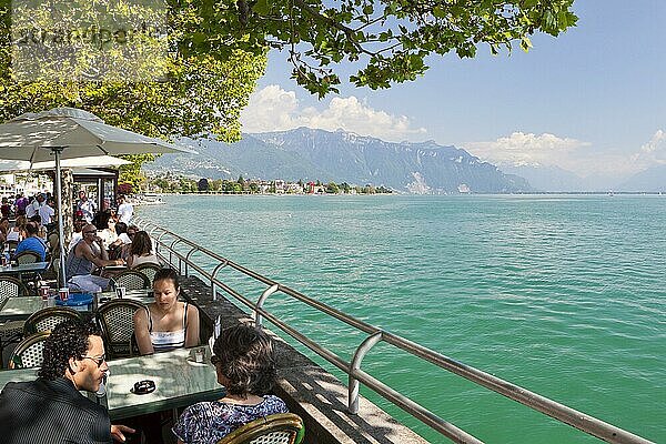 Uferpromenade  Genfer See  Vevey  Kanton Genf  Schweiz  Europa