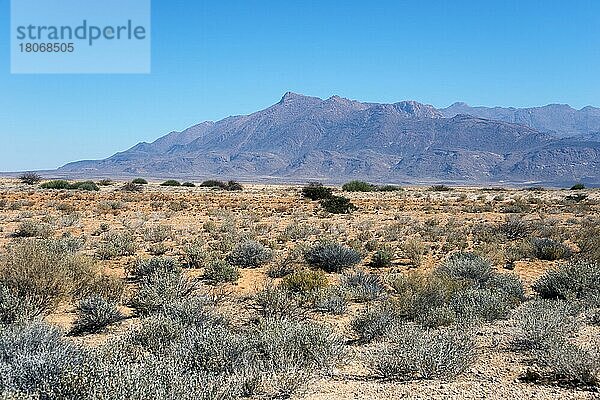 Brandbergmassiv  Namibia  Afrika