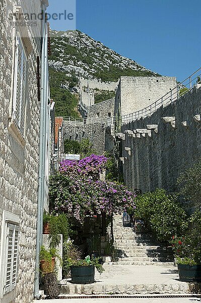 Stadtmauer  Ston  Halbinsel Peljesac  Dalmatien  Kroatien  Wehrmauer  Europa