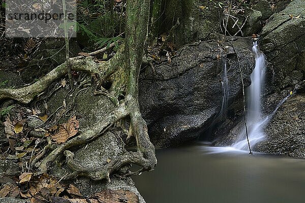 Kaskaden des Kathu Wasserfall  Phuket  Thailand  Asien