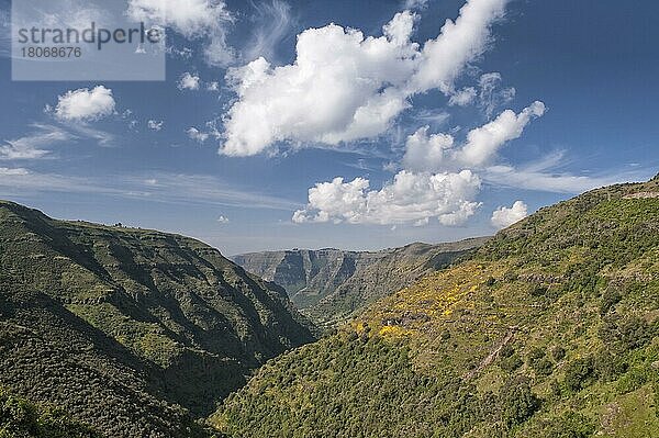 Simien-Gebirge  Simien-Gebirge Nationalpark  Amhara-Region  Äthiopien  Afrika