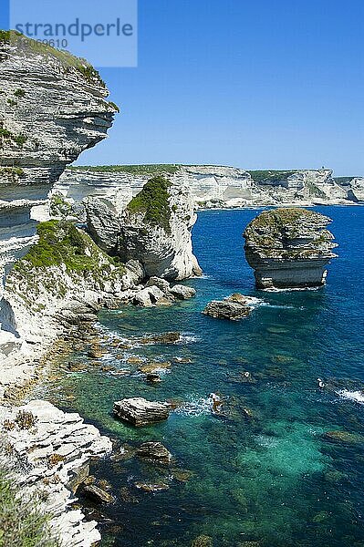 Kreidefelsenküste  Falaises  Bonifacio  Korsika  Frankreich  Europa